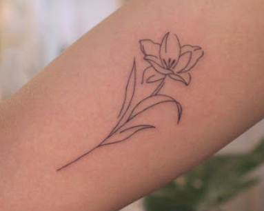 Provider Image